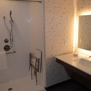 King Room Hearing Accessible Roll Shower